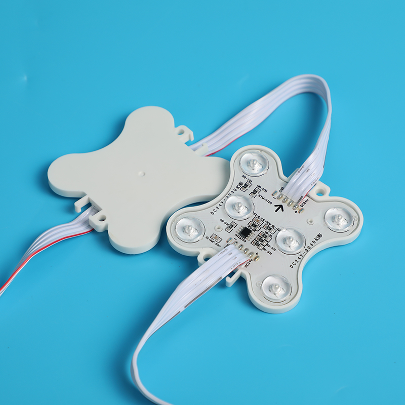 Six-lamp colorful module - waterproof version