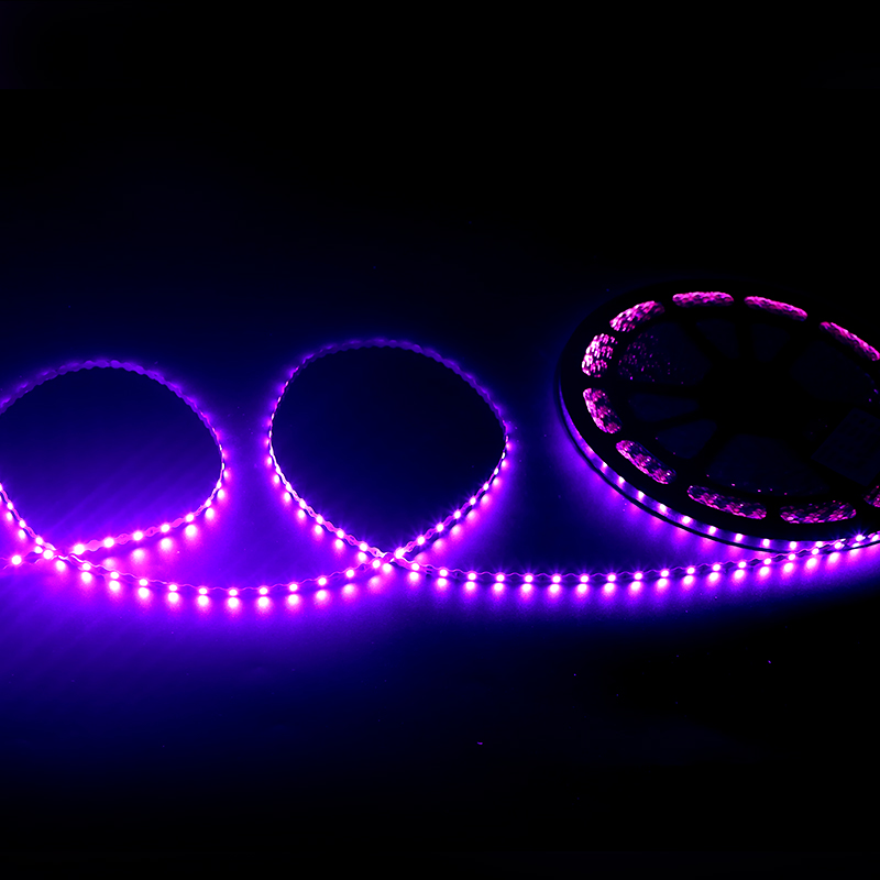 Purple Light 60 lamp 12V