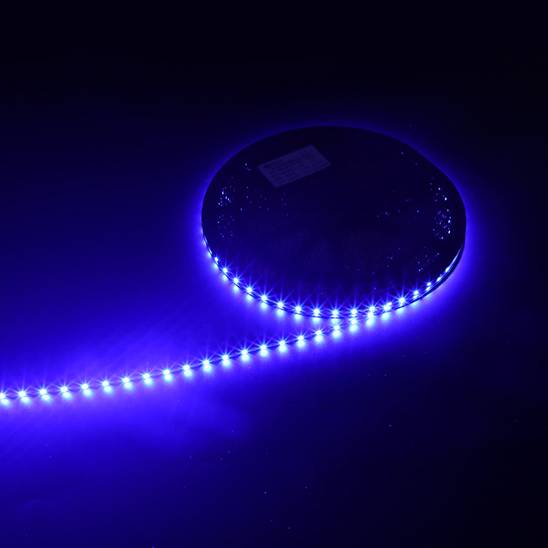 Blue Light 60 Lamp 12V