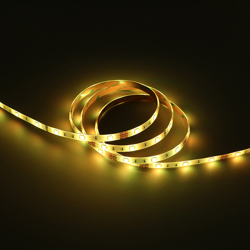 12V 5050 RGB 1-meter 60-lumen color-changing light strip (available in 30-lumen and 60-lumen versions)