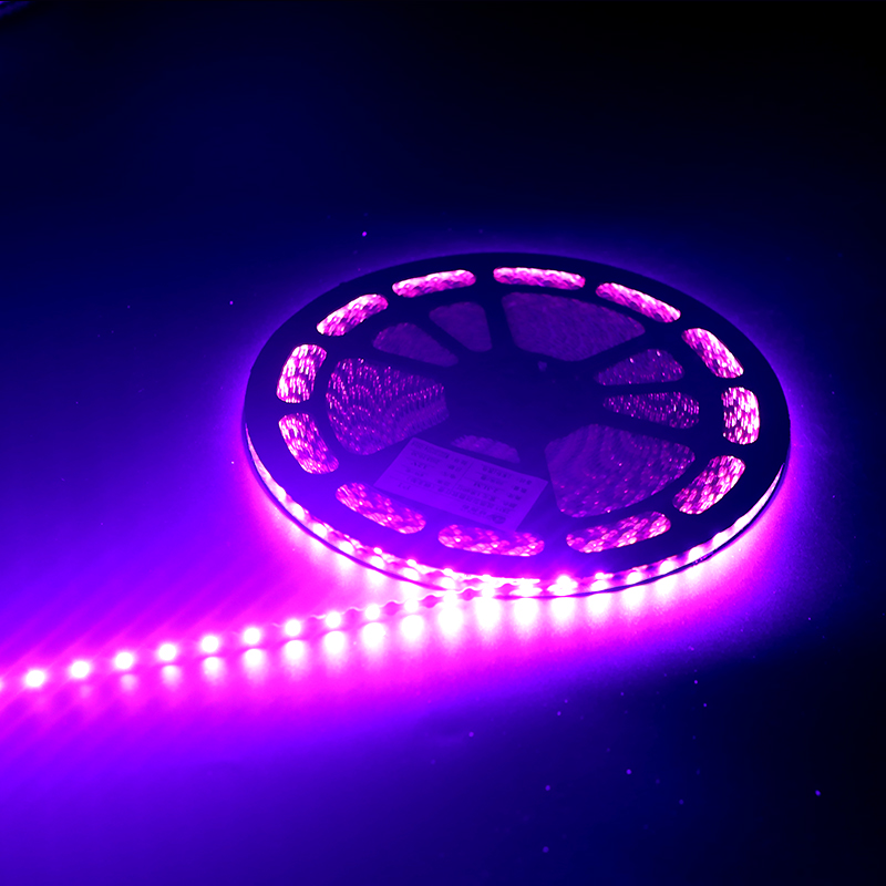 Purple Light 60 lamp 12V