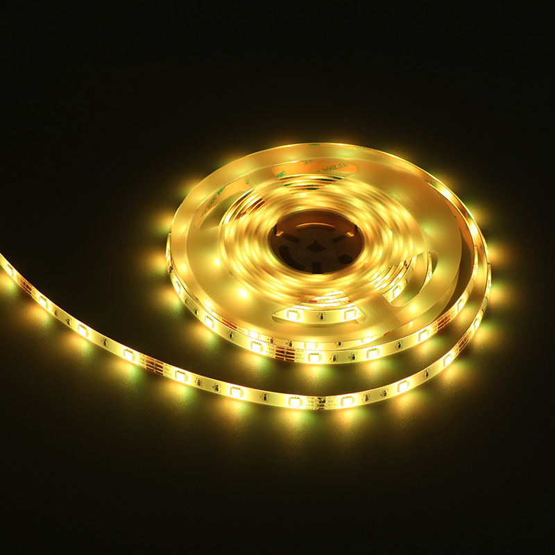 12V 5050 RGB 1-meter 60-lumen color-changing light strip (available in 30-lumen and 60-lumen versions)