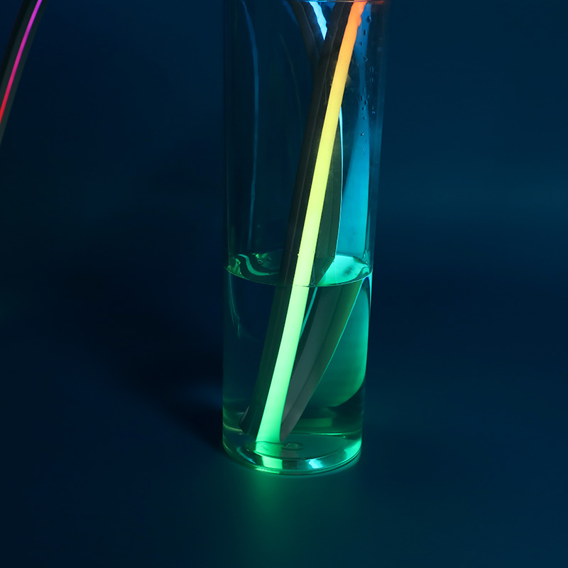 12V Colorful Silicone Light Strip