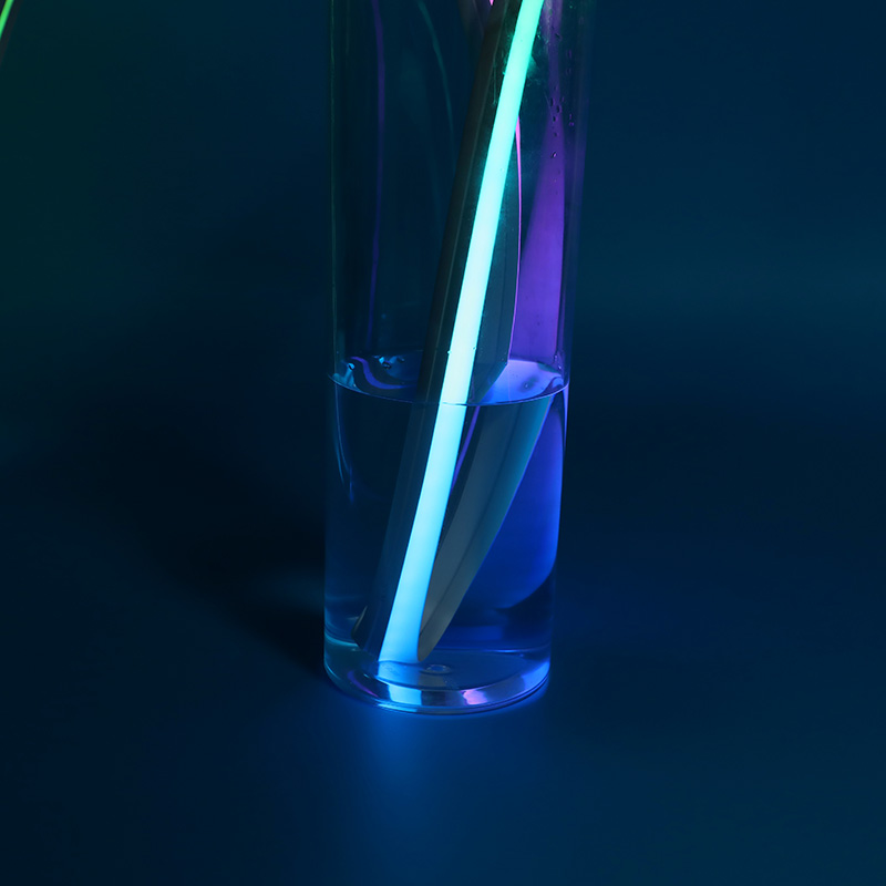 12V Colorful Silicone Light Strip