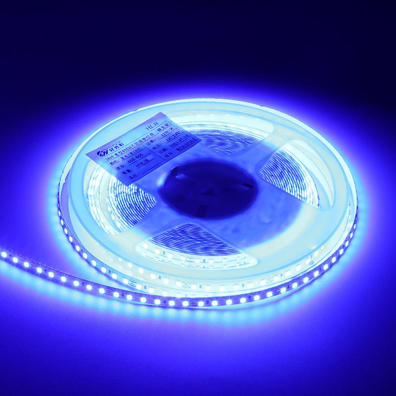 12V straight type 1.6-meter 12-watt colored light strip